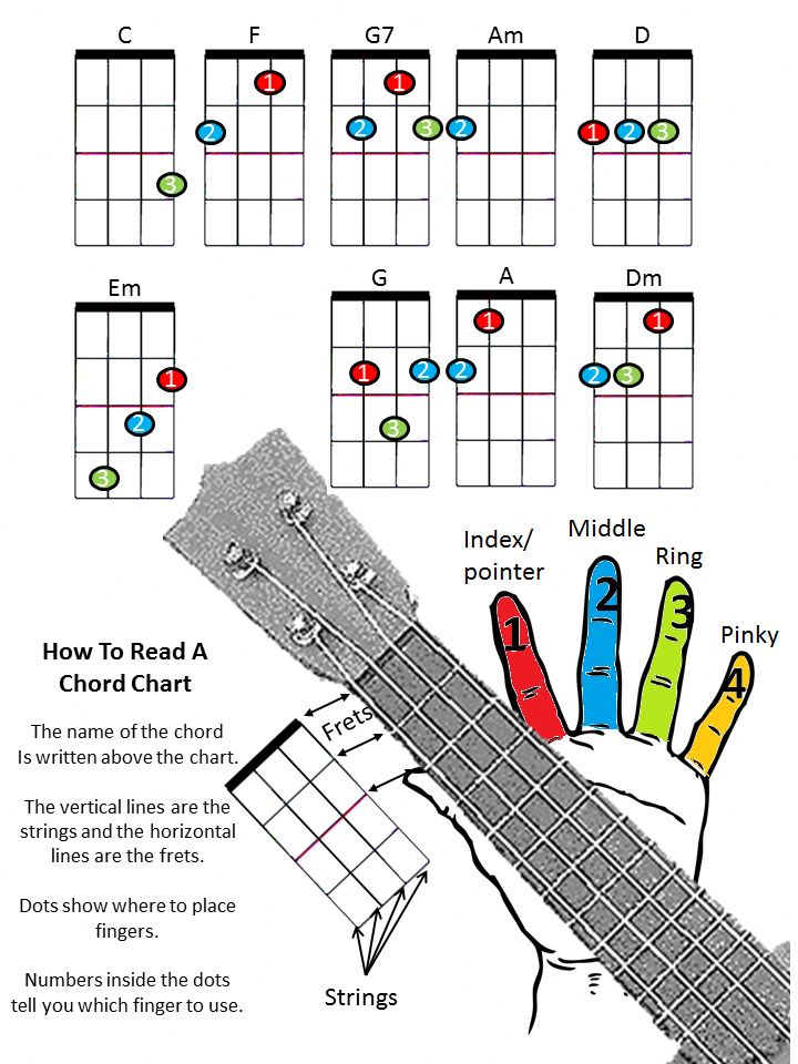 ukulele beginner chords